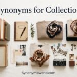 synonyms for collection
